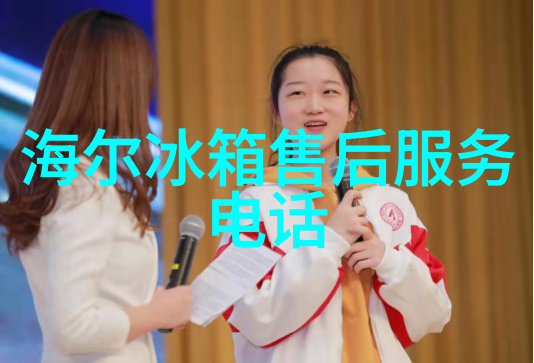 海尔牡丹花冰箱 对开门设计豪华大气